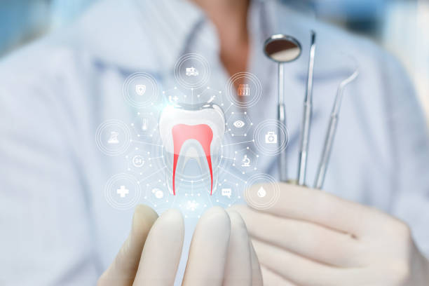 Trusted Shelby, OH Holistic Dental Care Services Experts